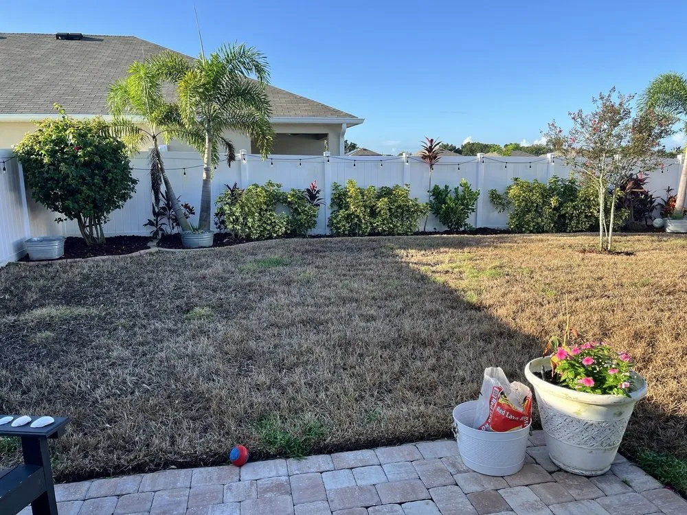 Affordable yard cleanup service for outdoor upgrades in Valrico, FL by Real Turf Solutions