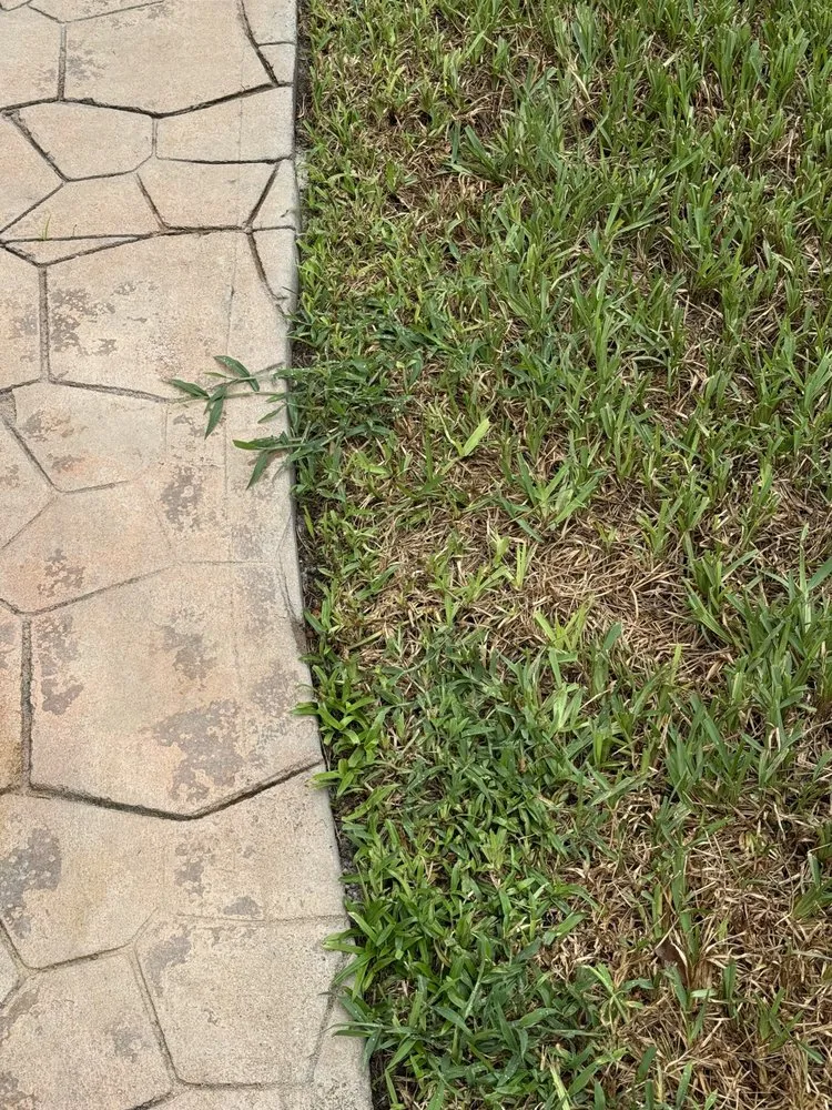 Affordable yard maintenance in Valrico, FL by Real Turf Solutions