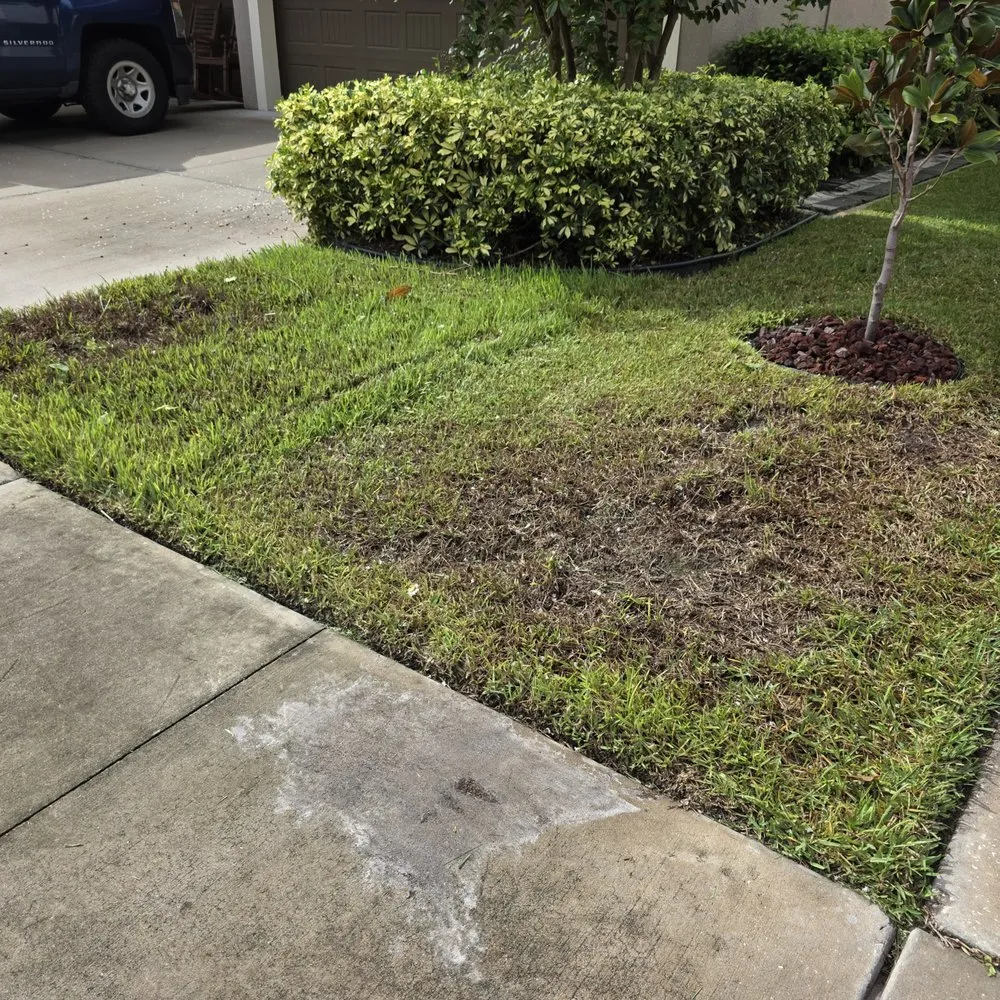 Reliable yard maintenance in Valrico, FL - Real Turf Solutions