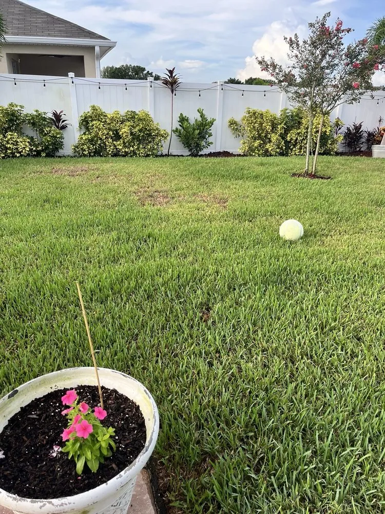 Custom landscaping services experts serving Valrico, FL - Real Turf Solutions