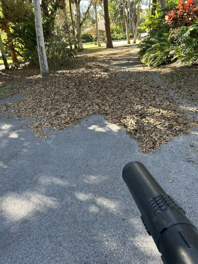 Custom yard maintenance experts serving Fort Pierce, FL - Real Verde Landscaping