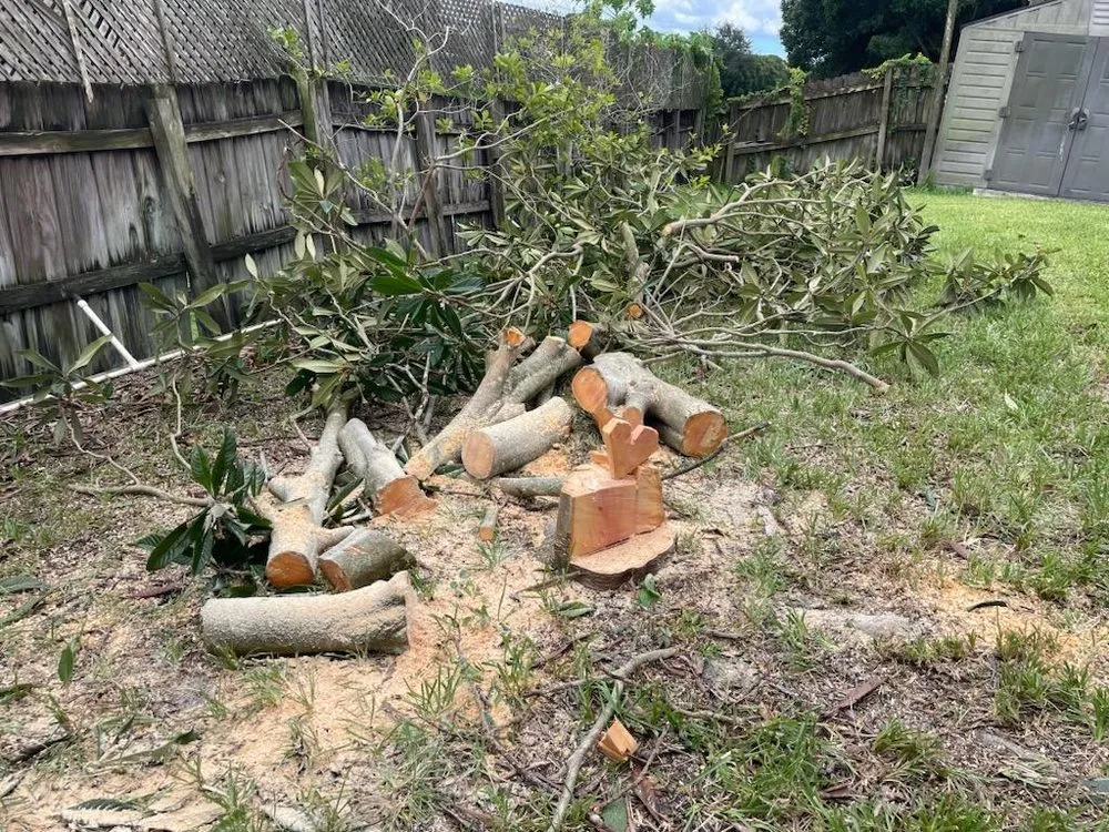 Top-rated outdoor landscaping in Fort Pierce, FL - Real Verde Landscaping