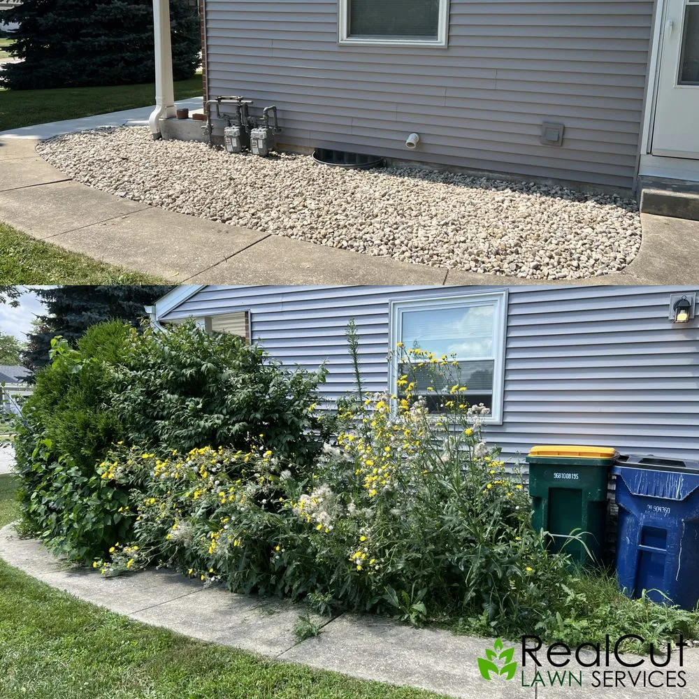 Affordable yard maintenance in Hales Corners, WI by RealCut Lawn Service