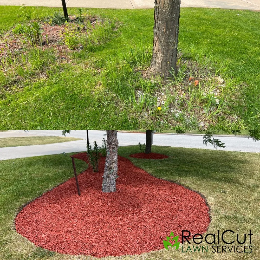 Top-rated lawn mowing service in Hales Corners, WI by RealCut Lawn Service