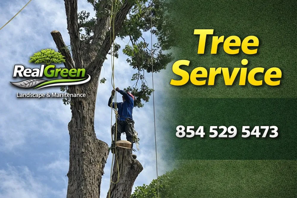 Expert landscaping services for homes across Spartanburg, SC - RealGreen Landscaping & maintenance