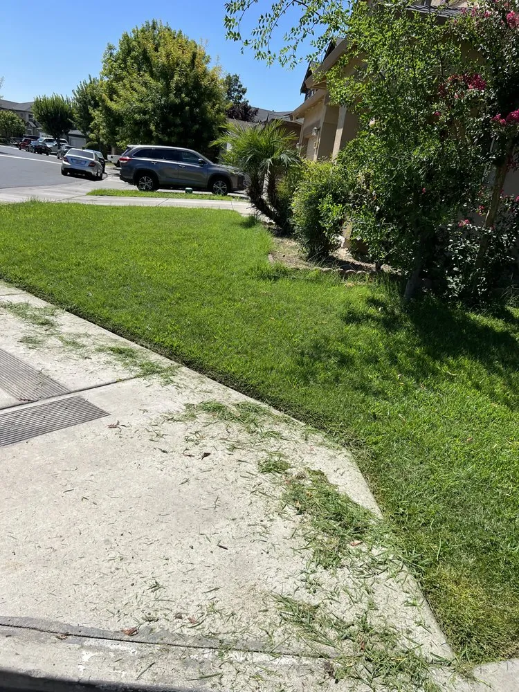 Local lawn care service experts serving Turlock, CA - Realible landscape maintenance