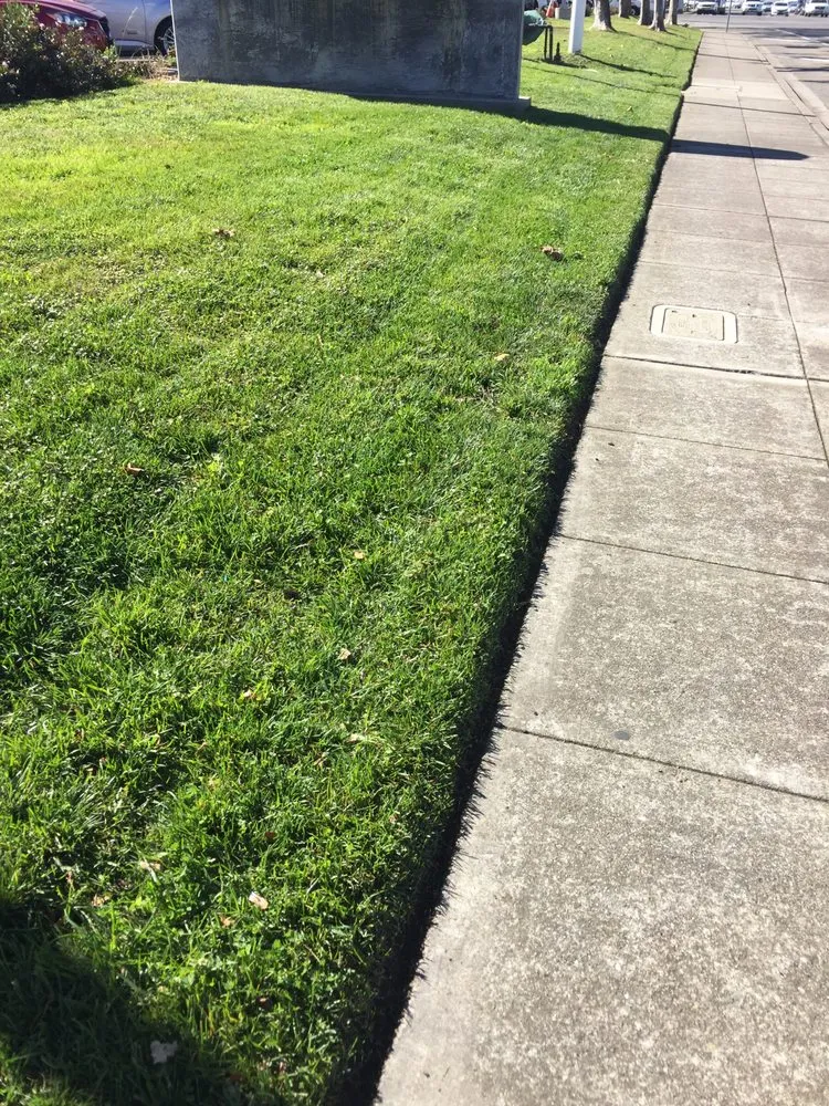 Reliable lawn mowing service with custom design in Turlock, CA by Realible landscape maintenance