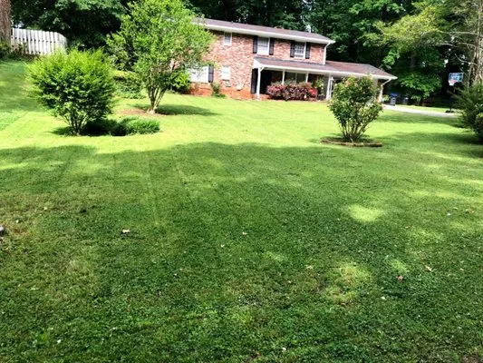 Realistic Lawn Care Logo