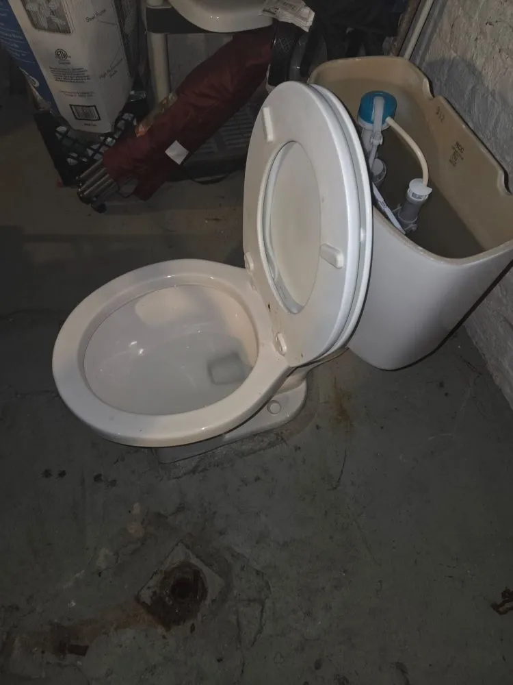 Professional landscaping services in Detroit, MI by Realistic Living Solutions