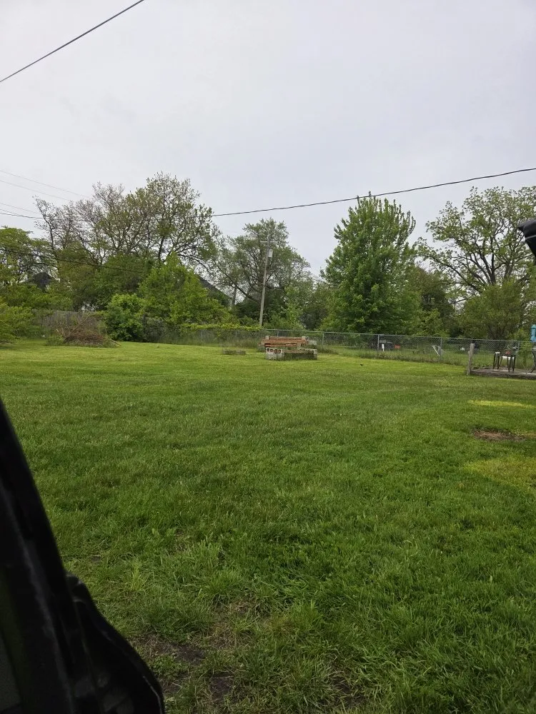 Affordable yard cleanup service in Detroit, MI by Realistic Living Solutions