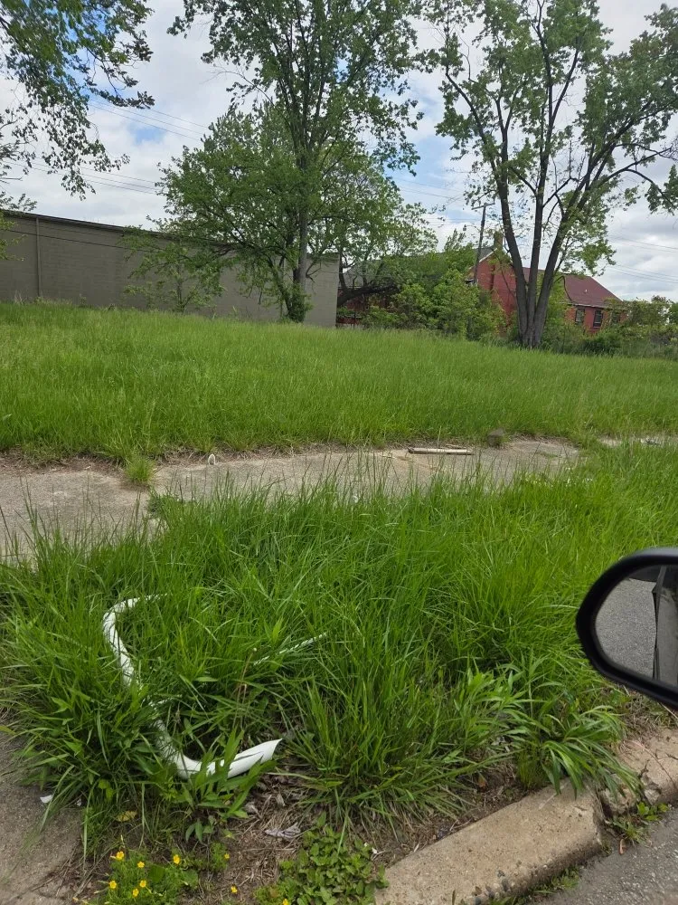 Professional lawn care service for residential properties in Detroit, MI by Realistic Living Solutions