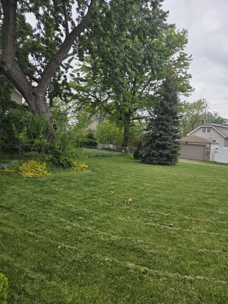 Expert yard maintenance for beautiful yards across Detroit, MI - Realistic Living Solutions