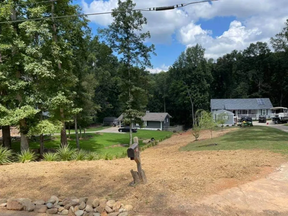 Professional landscape installation for beautiful yards across Cumming, GA - Reality Land Development