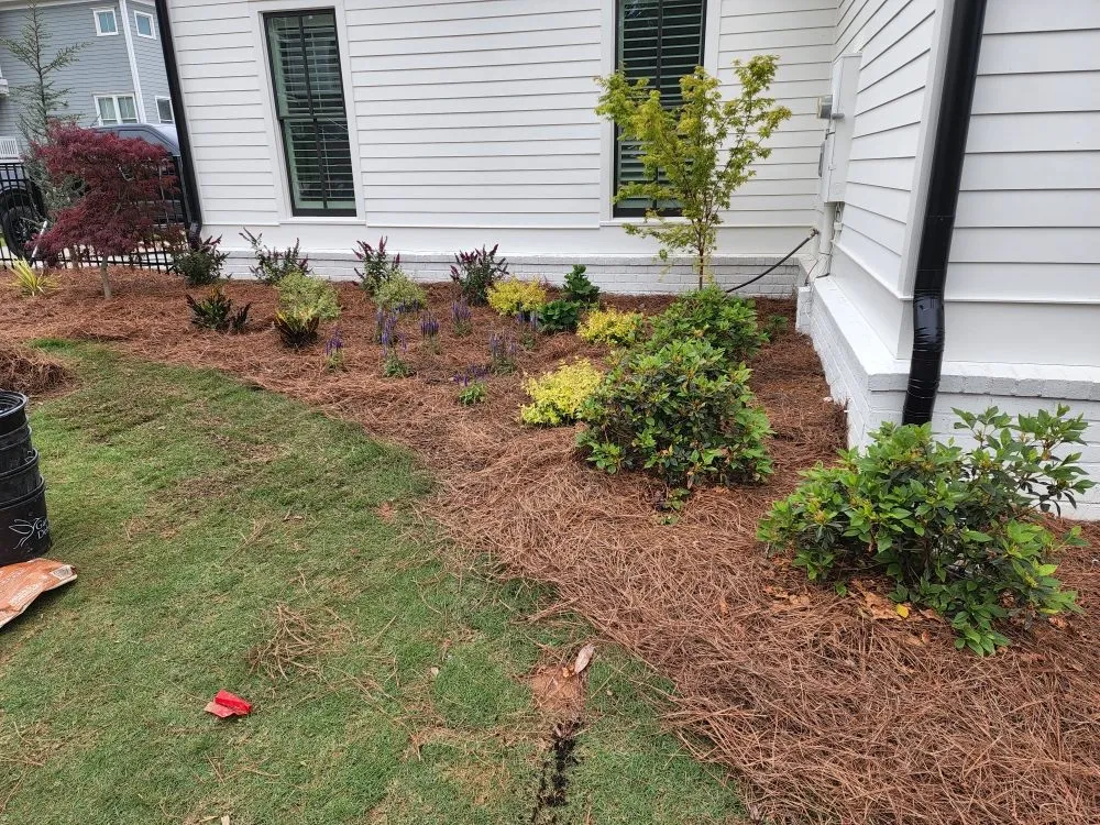 Reliable yard maintenance experts serving Cumming, GA - Reality Land Development