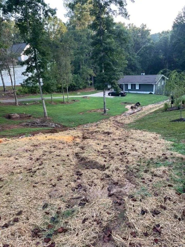 Reliable landscape installation in Cumming, GA by Reality Land Development
