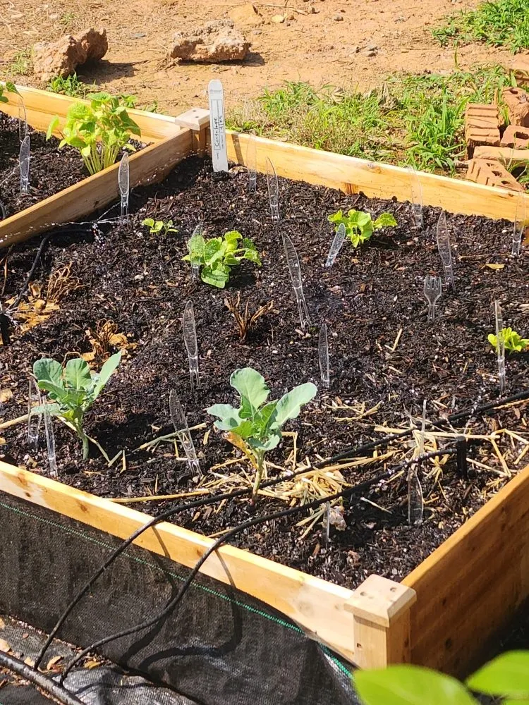 Custom outdoor landscaping in Cumming, GA - Reality Land Development