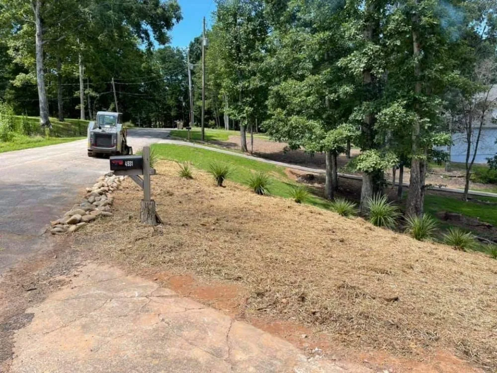 Professional yard maintenance experts serving Cumming, GA - Reality Land Development