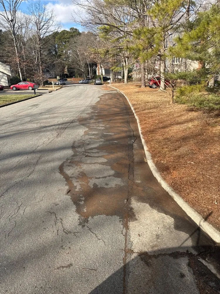 Top-rated landscape installation in Richmond, VA - Really Clean Streets