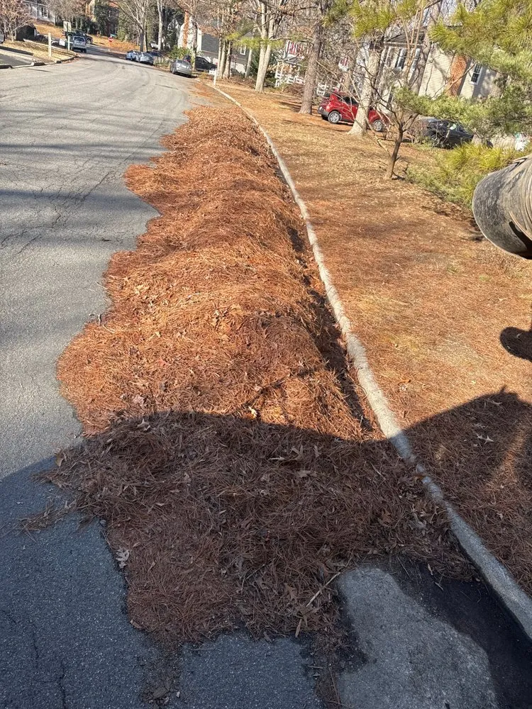 Custom yard maintenance experts serving Richmond, VA - Really Clean Streets