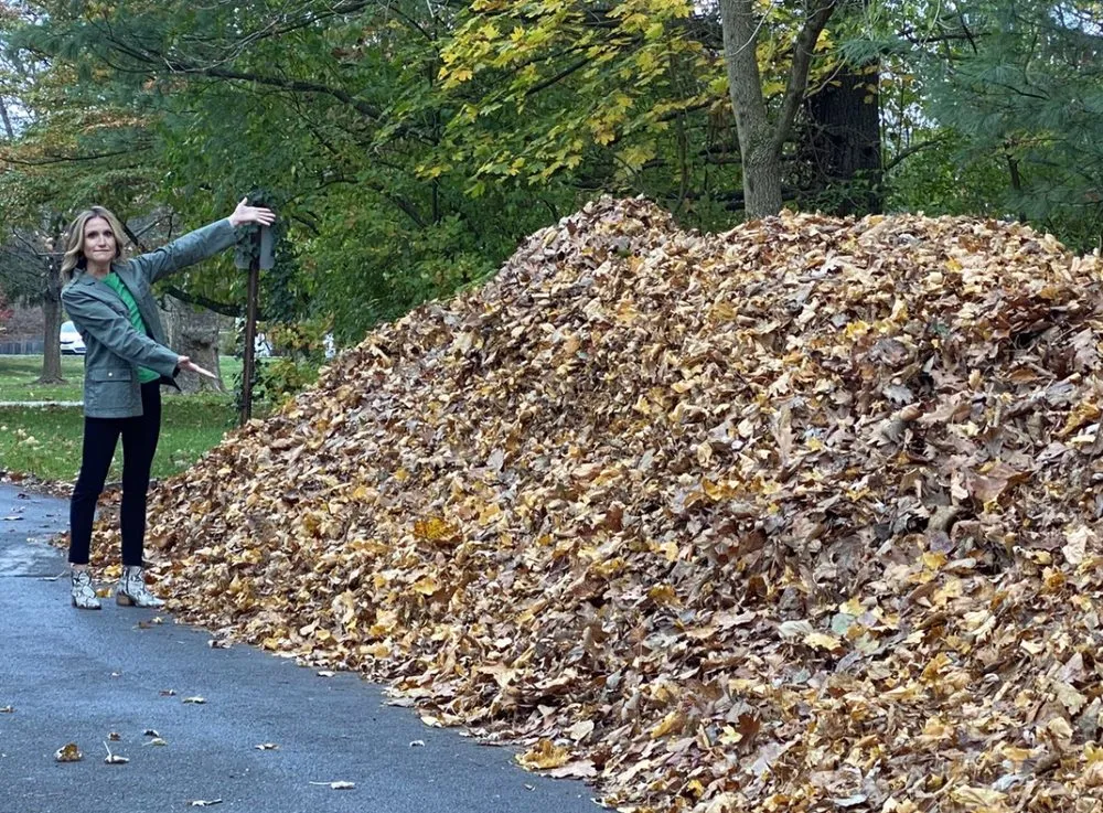 Custom landscape design in Richmond, VA by Really Clean Streets