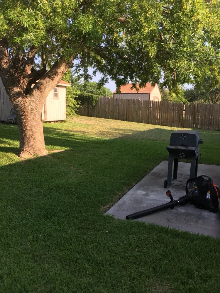 Expert yard cleanup service in Killeen, TX by Really Nice and Affordable Lawn Service