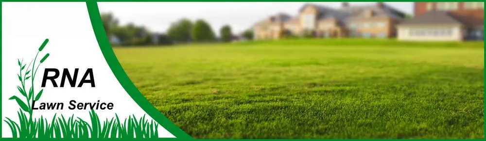 Expert yard cleanup service for homes across Killeen, TX - Really Nice and Affordable Lawn Service