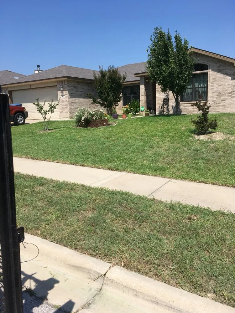 Reliable landscape installation near you in Killeen, TX by Really Nice and Affordable Lawn Service