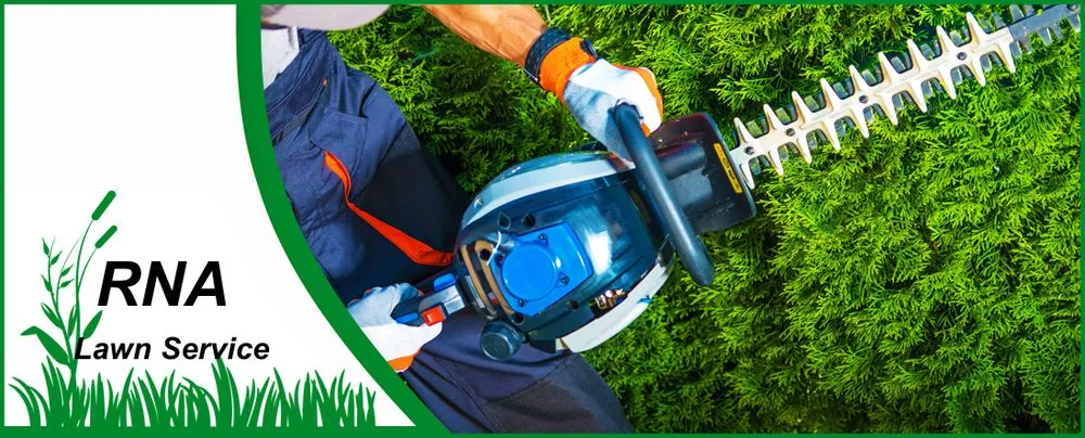 Custom landscaping services for beautiful yards across Killeen, TX - Really Nice and Affordable Lawn Service