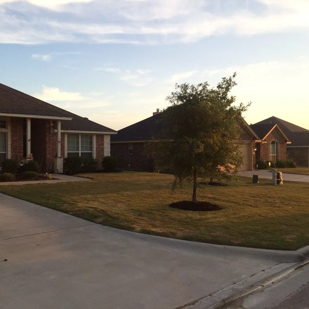 Top-rated landscape installation for outdoor upgrades in Killeen, TX by Really Nice and Affordable Lawn Service