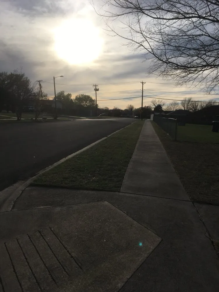 Expert yard cleanup service in Killeen, TX by Really Nice and Affordable Lawn Service