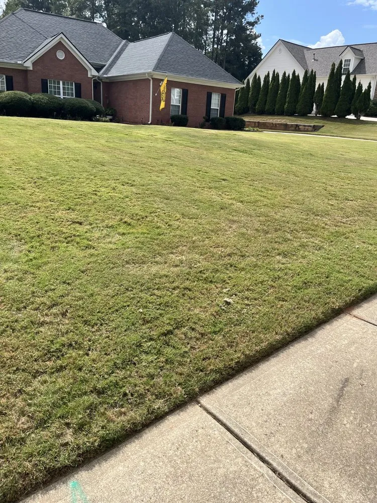 Expert garden landscaping for outdoor upgrades across Locust Grove, GA - Reallyrick Landscaping