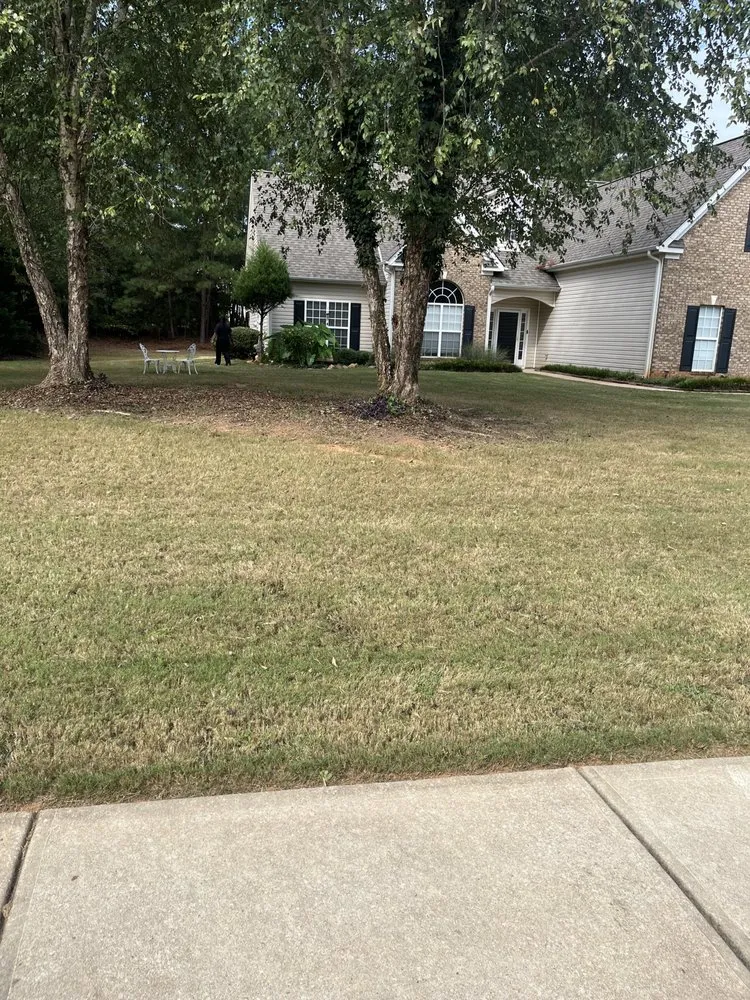 Affordable yard cleanup service in Locust Grove, GA - Reallyrick Landscaping