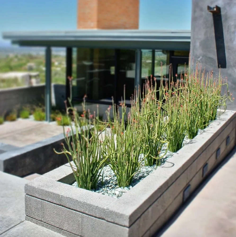 Custom outdoor landscaping with custom design in Tucson, AZ by Realm