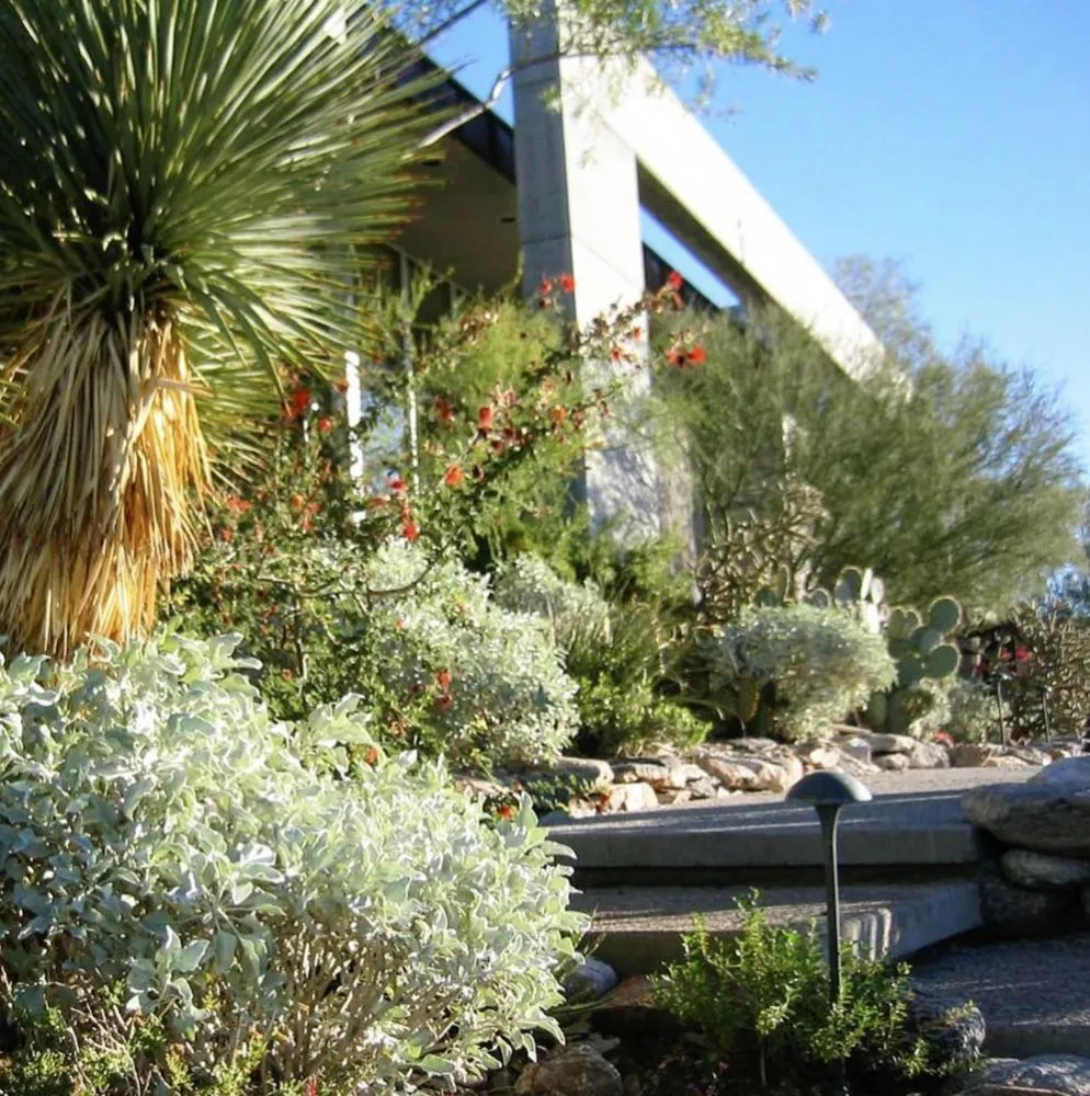 Reliable lawn mowing service experts serving Tucson, AZ - Realm