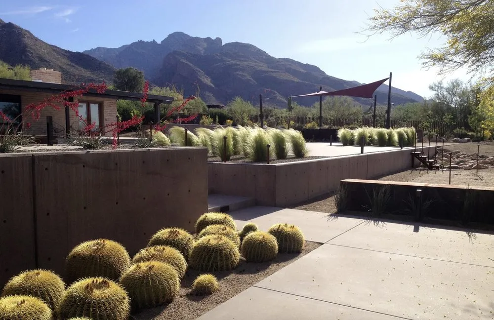 Expert landscape design for year-round maintenance in Tucson, AZ by Realm