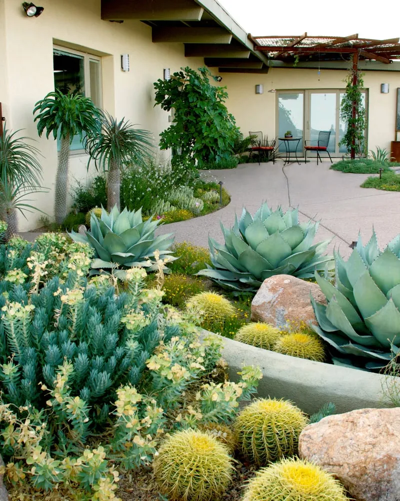 Top-rated garden landscaping in Tucson, AZ by Realm