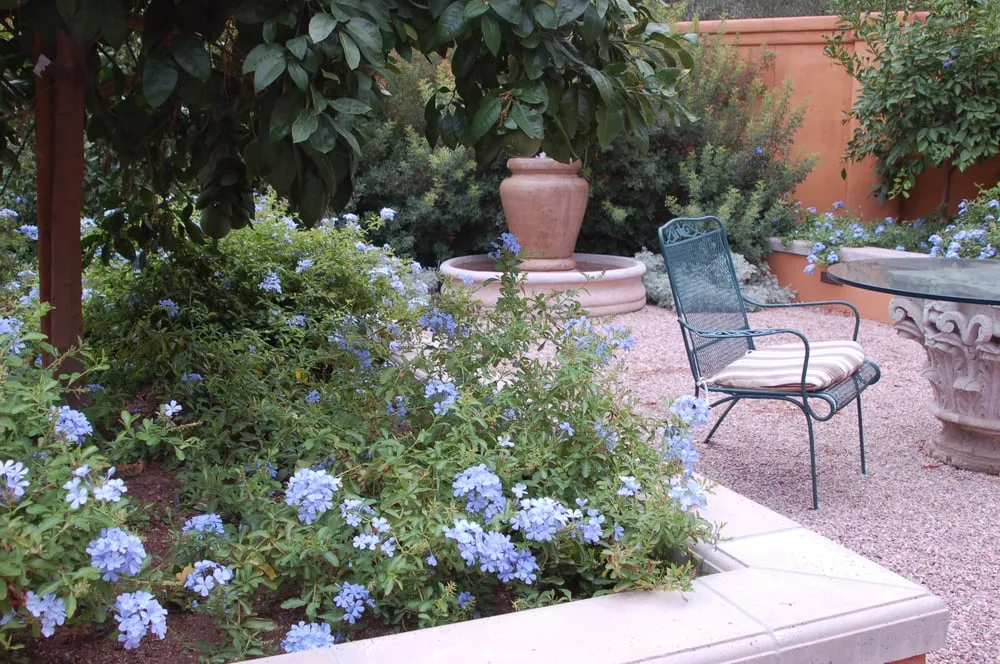 Professional lawn mowing service in Tucson, AZ - Realm