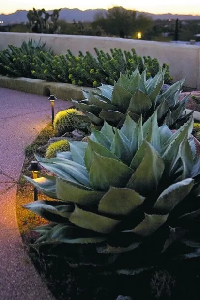 Top-rated lawn care service with custom design in Tucson, AZ by Realm