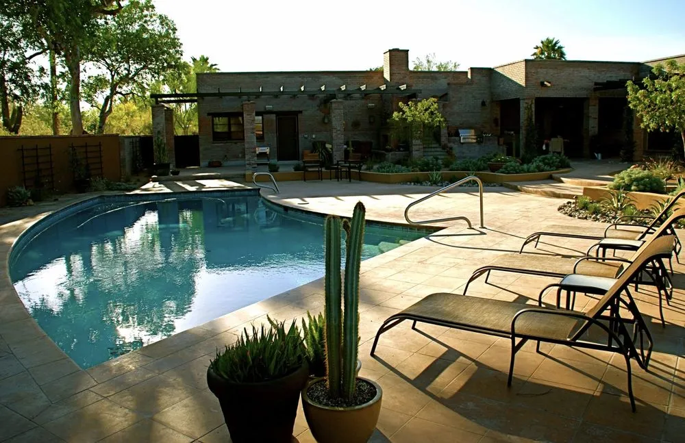 Professional yard cleanup service in Tucson, AZ by Realm