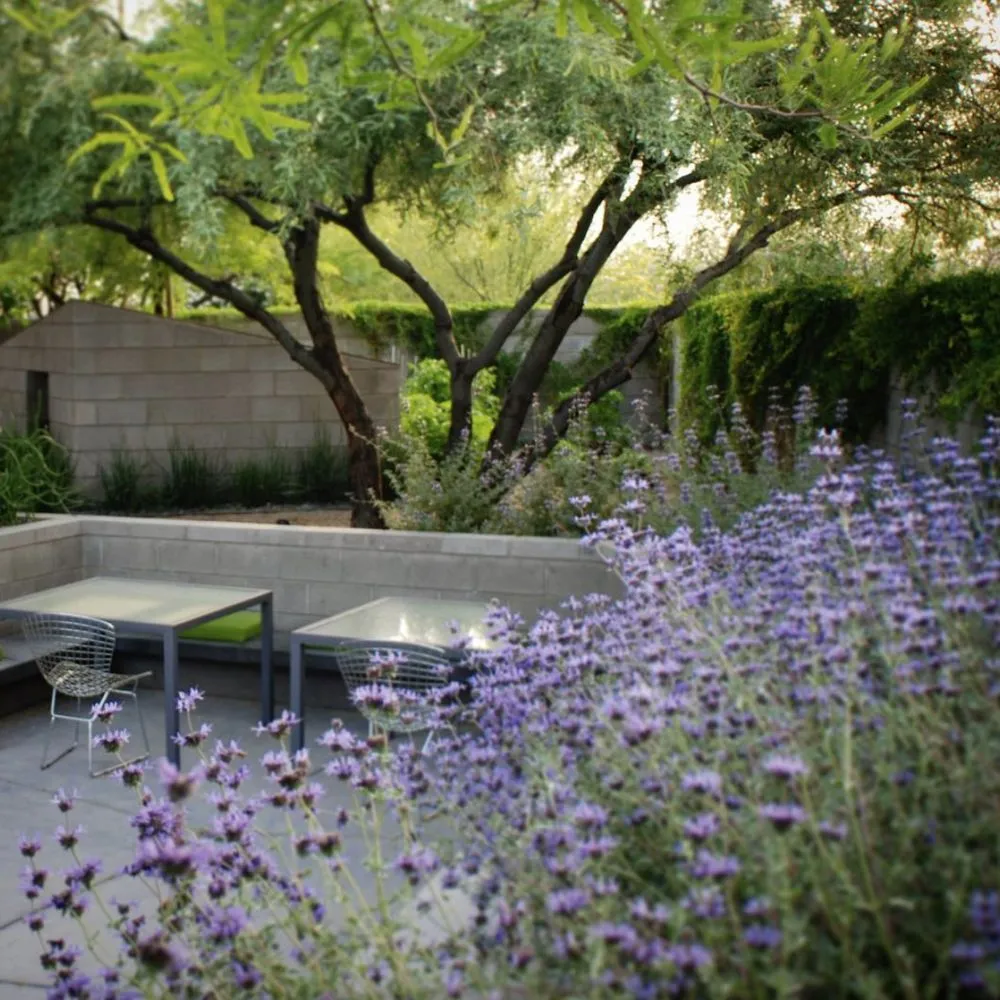 Reliable lawn mowing service in Tucson, AZ - Realm