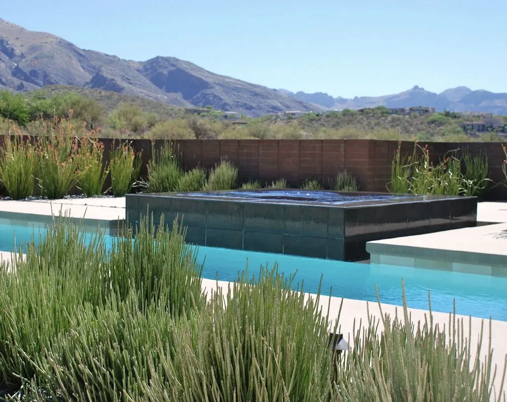 Affordable lawn care service in Tucson, AZ - Realm