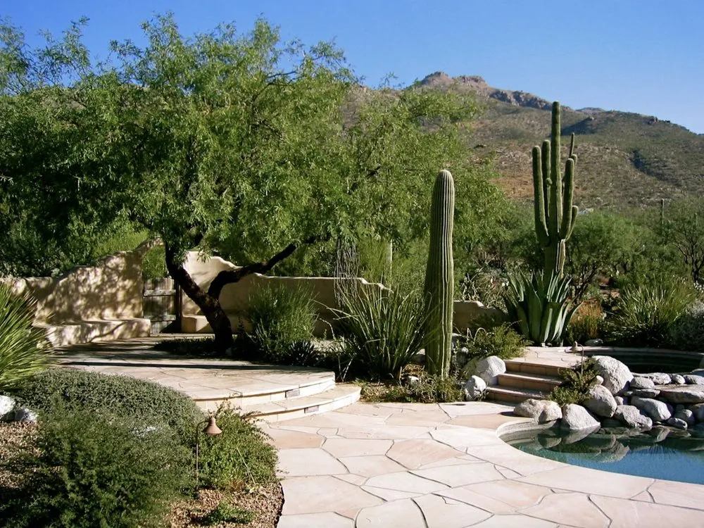Expert lawn care service for homes in Tucson, AZ by Realm