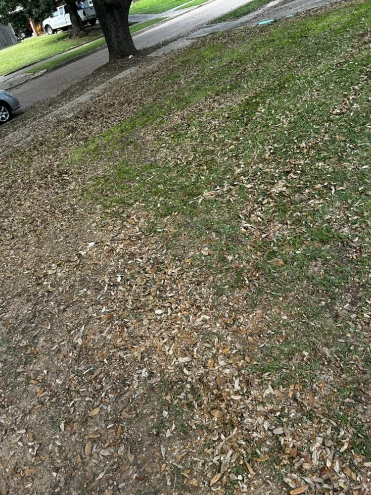 Reliable residential landscaping in Shreveport, LA - Realpro Lawncare