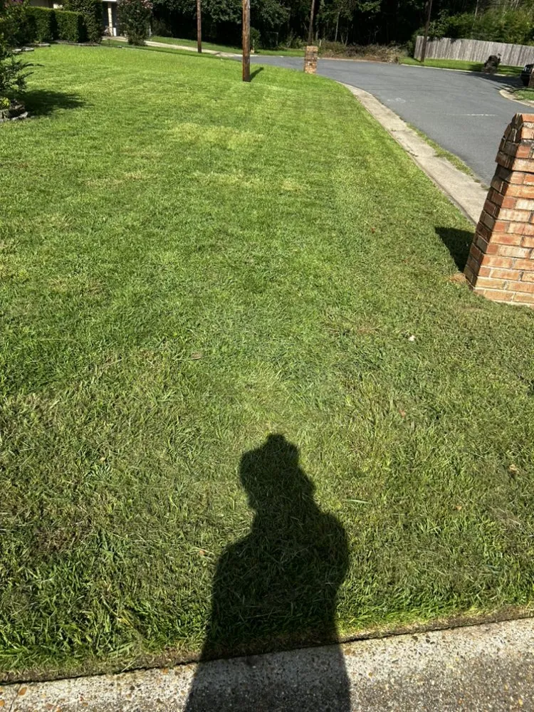 Local lawn mowing service for year-round maintenance in Shreveport, LA by Realpro Lawncare