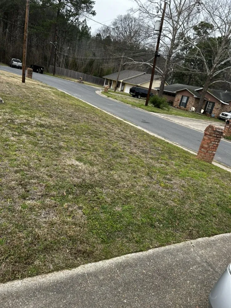 Professional landscape design for residential properties in Shreveport, LA by Realpro Lawncare