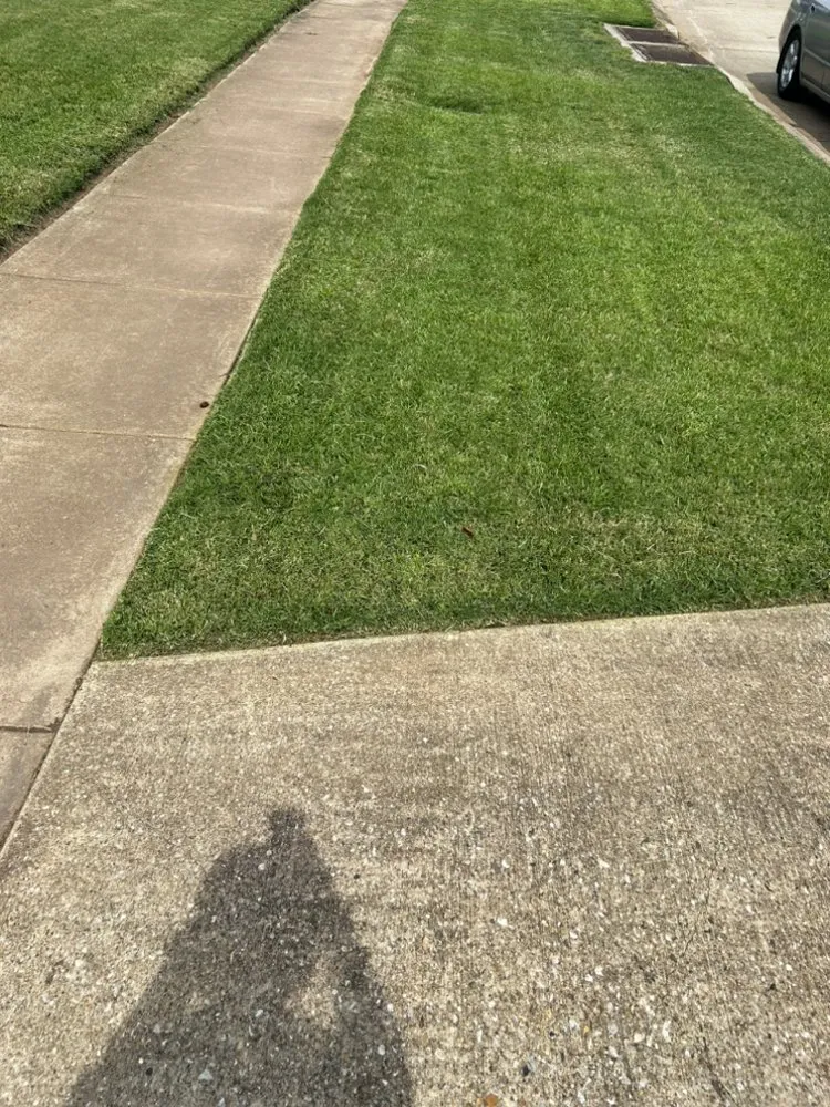 Professional lawn care service in Shreveport, LA - Realpro Lawncare