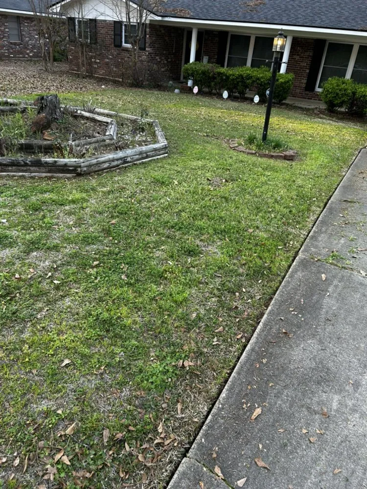 Top-rated lawn care service in Shreveport, LA - Realpro Lawncare