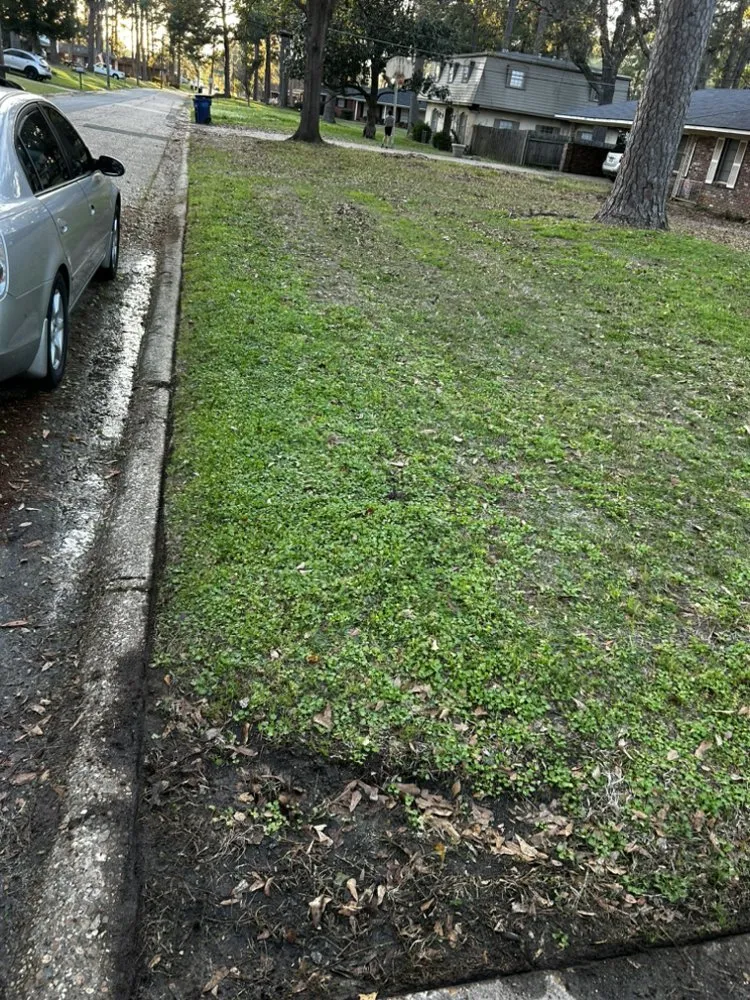 Professional lawn care service in Shreveport, LA by Realpro Lawncare