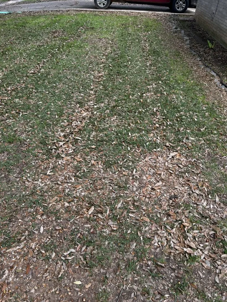 Custom garden landscaping for outdoor upgrades across Shreveport, LA - Realpro Lawncare