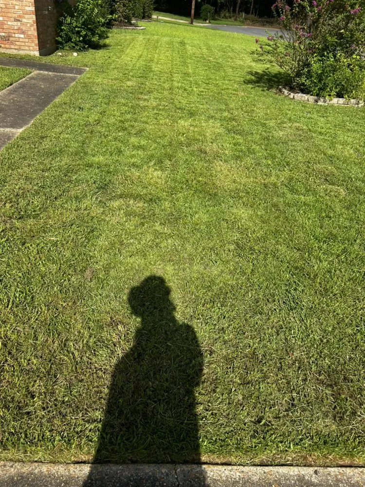 Reliable residential landscaping for outdoor upgrades across Shreveport, LA - Realpro Lawncare